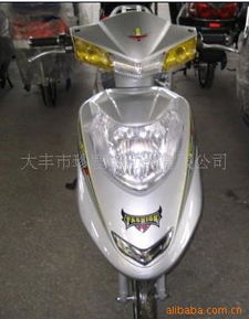 大豐市珍鹿電動(dòng)車與自行車配件 品質(zhì)與信賴的選擇